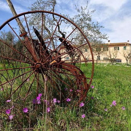 Agriturismo La Torricella 피스토이아 외부 사진