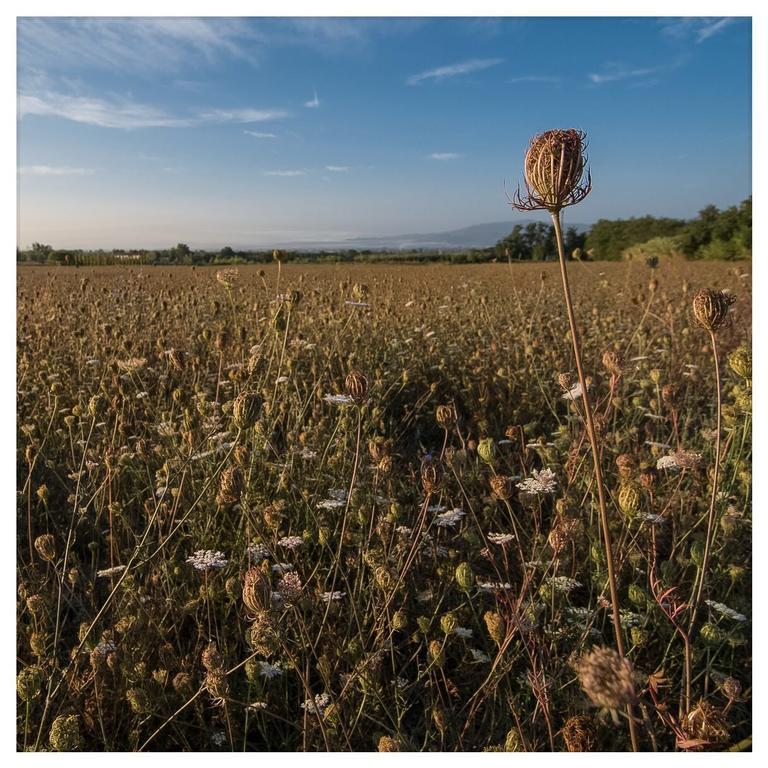 Agriturismo La Torricella 피스토이아 외부 사진